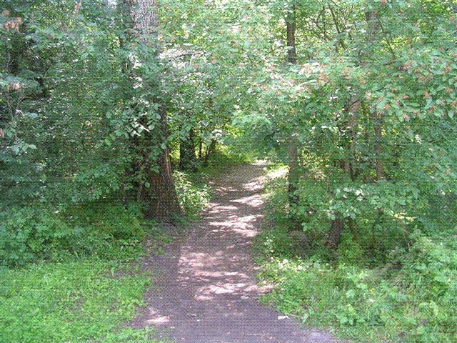 DSCN6704.GIF