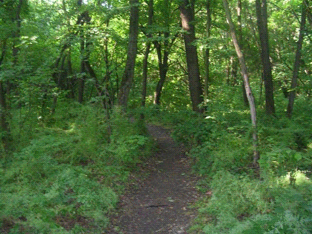 DSCN6755.GIF