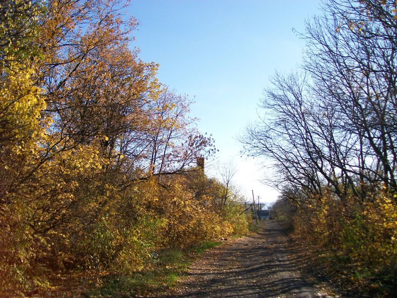 100_7134.JPG