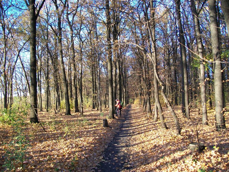 100_7556.JPG