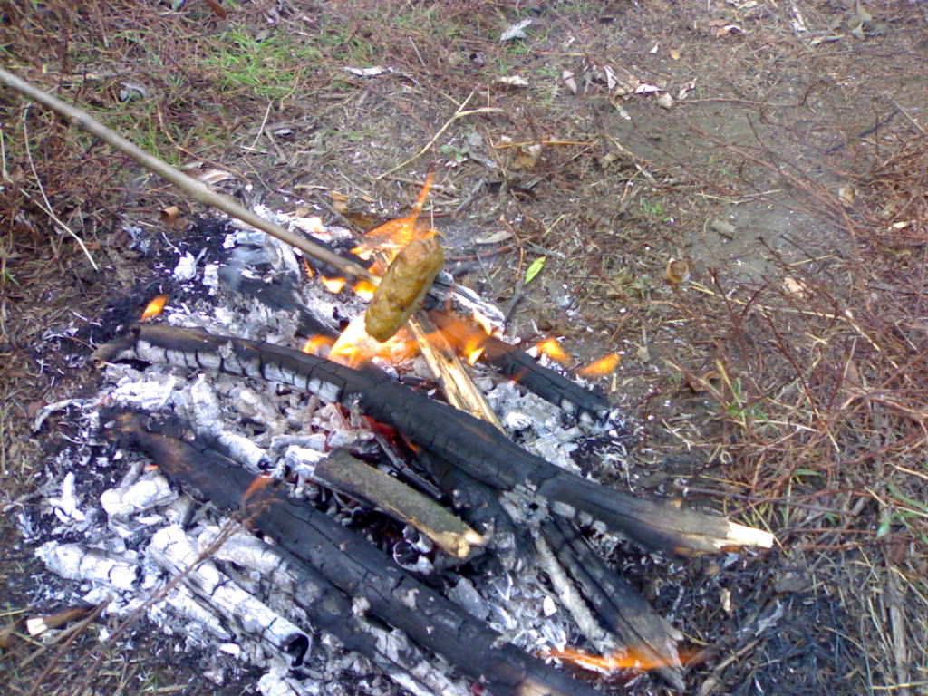 28102012196.jpg
