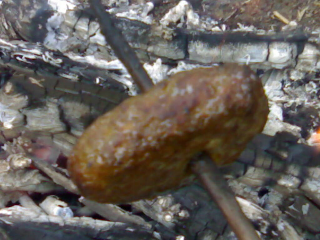 28102012197.jpg