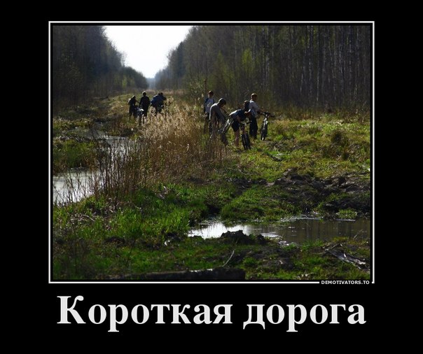 MYDAKy8IlrA.jpg