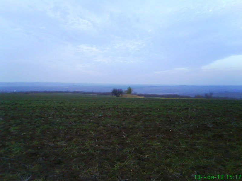 DSC01579.JPG