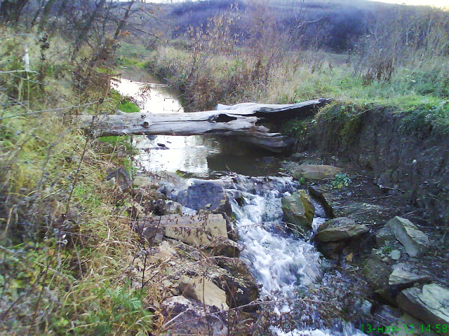 DSC01562.JPG
