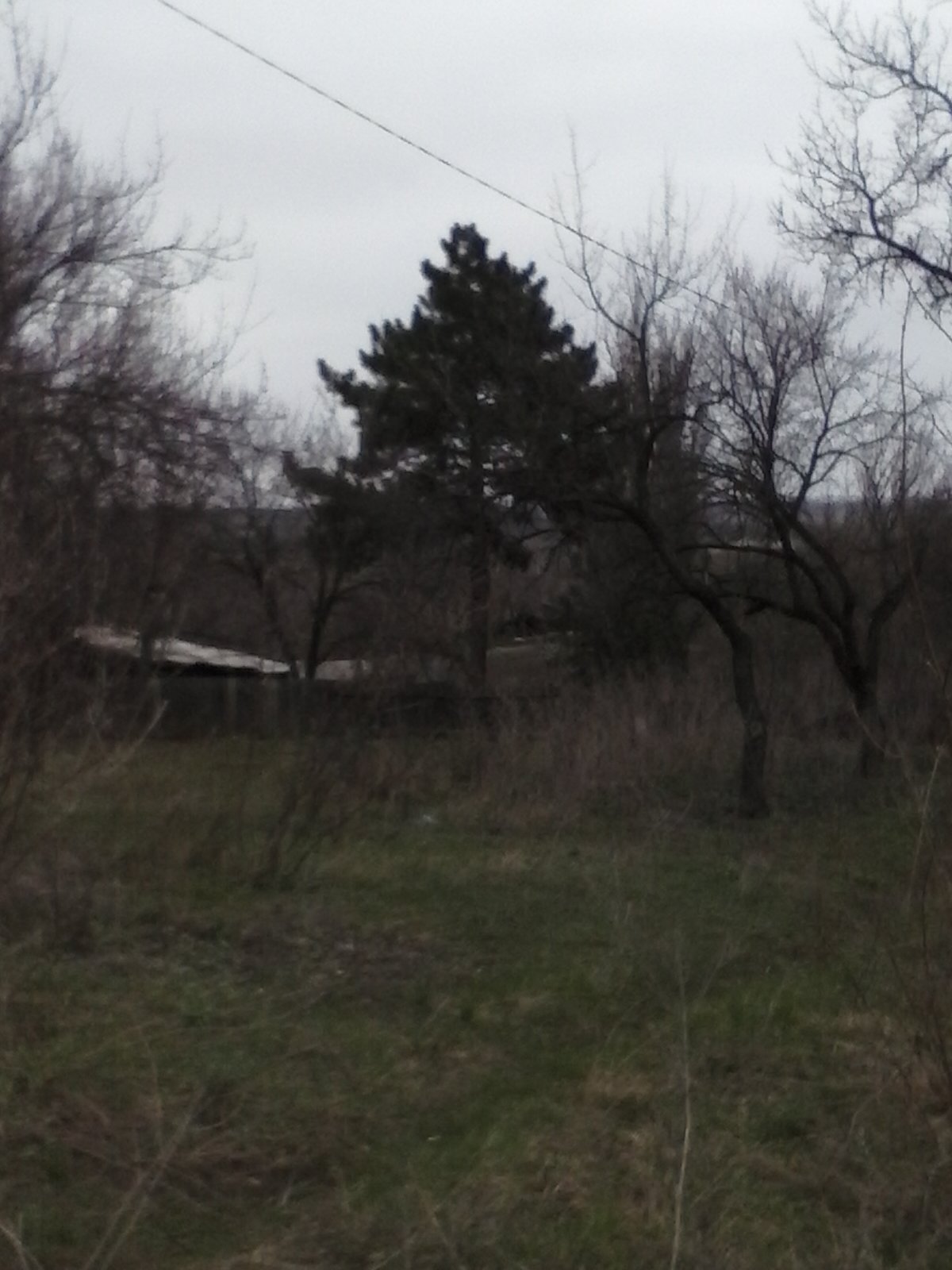 CAM00133.jpg