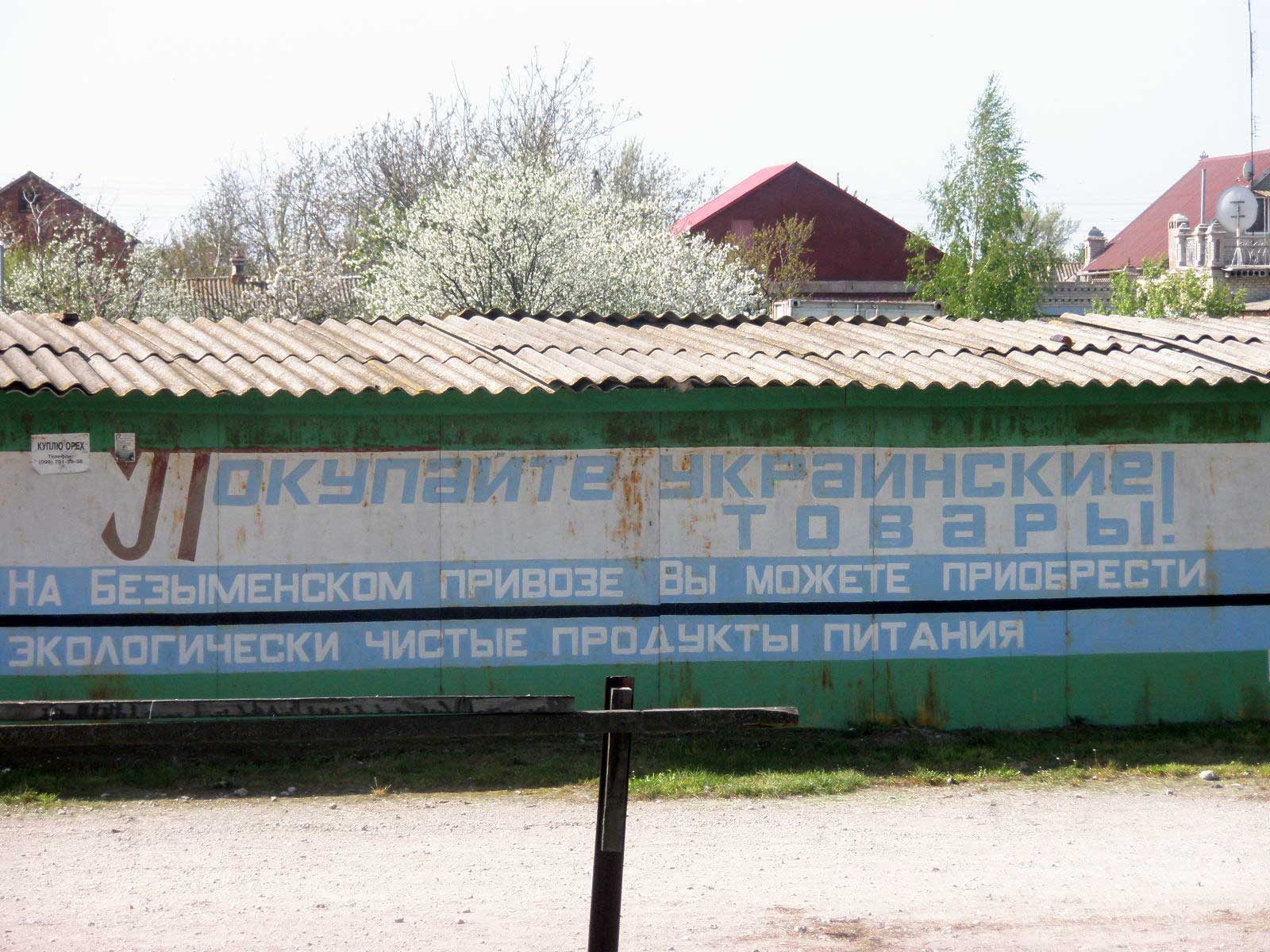 _P1010231.jpg