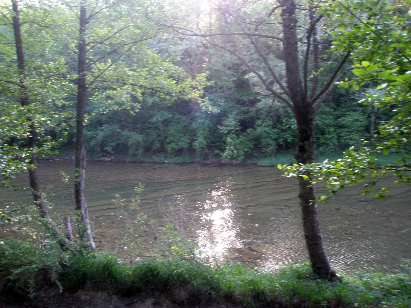 _P5040358.jpg
