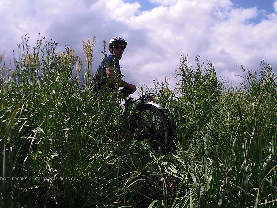 DR103600.JPG