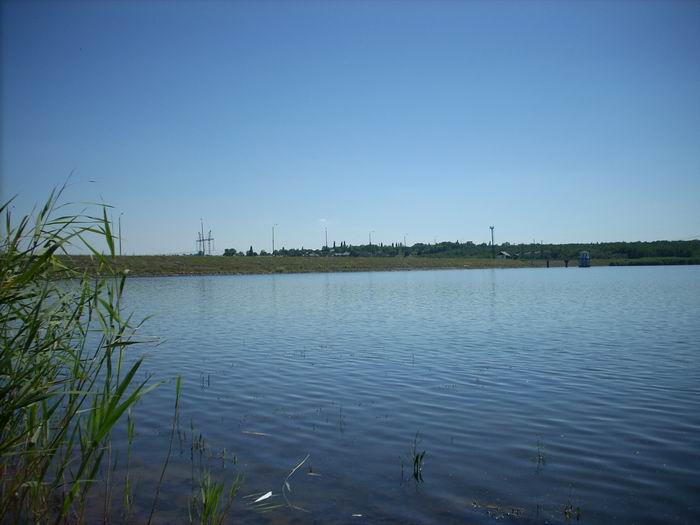 DSCN0040.JPG