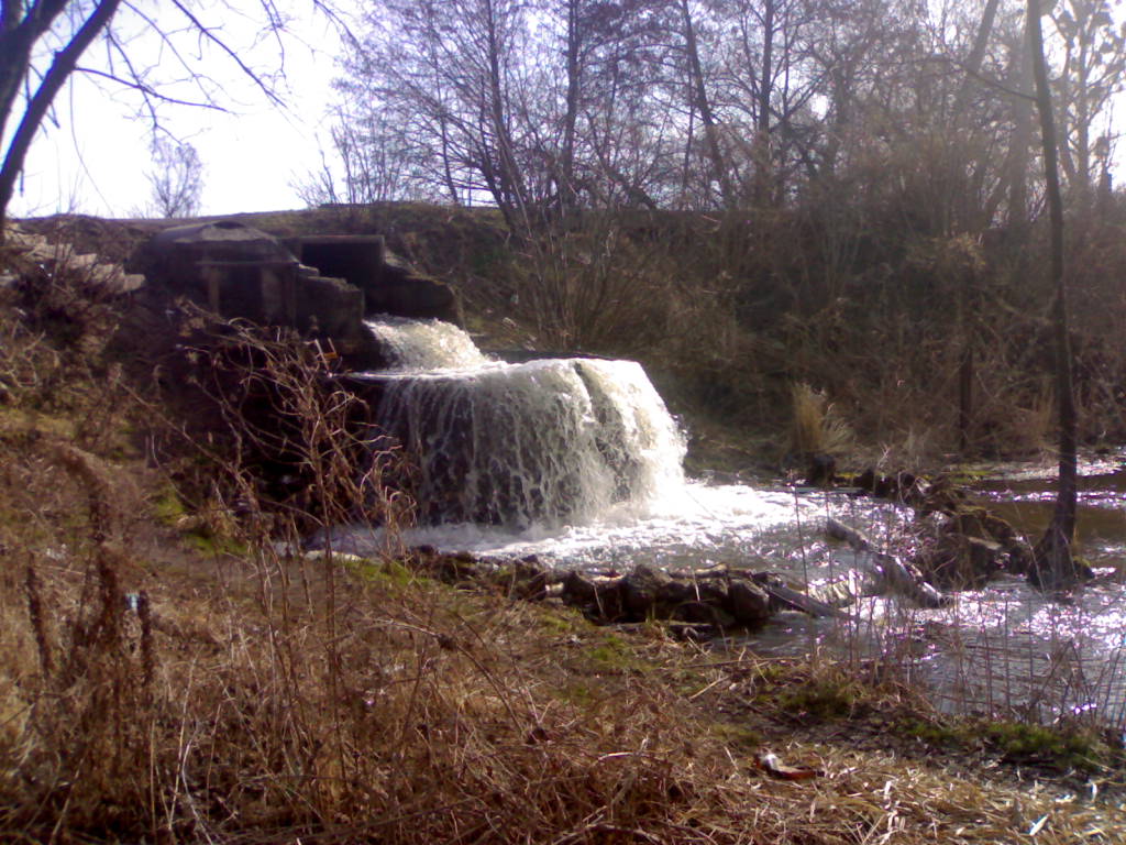 18022006311.jpg