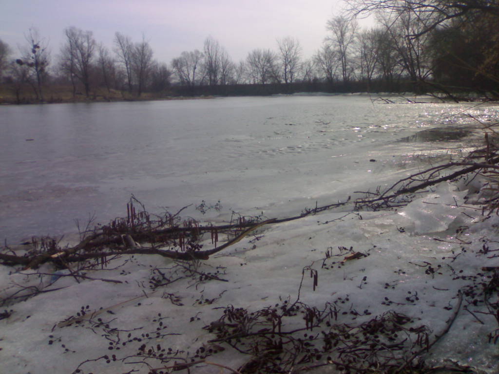 18022006316.jpg