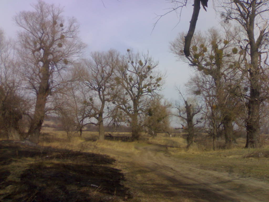 18022006314.jpg
