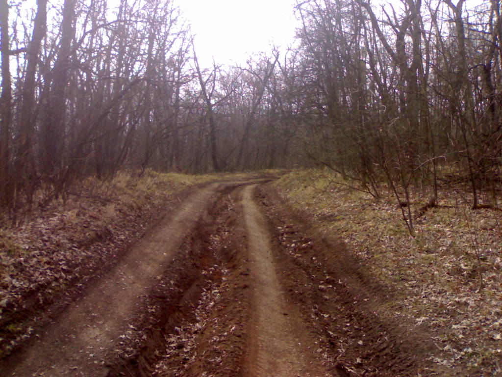 18022006319.jpg