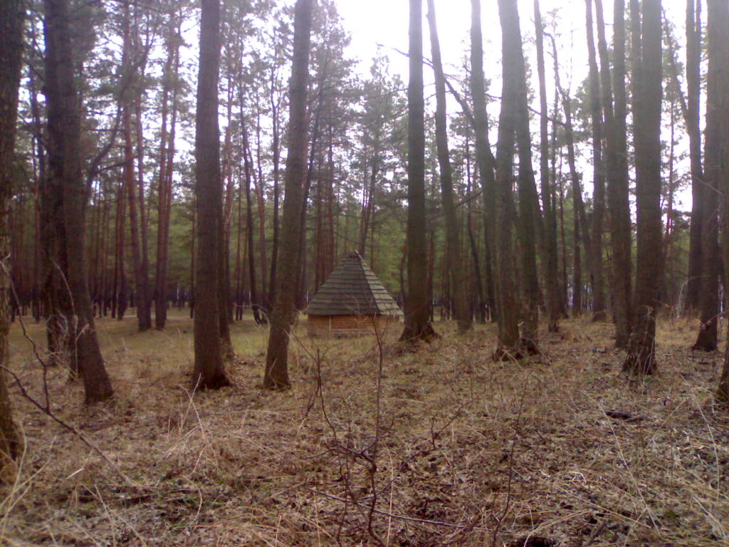 18022006321.jpg