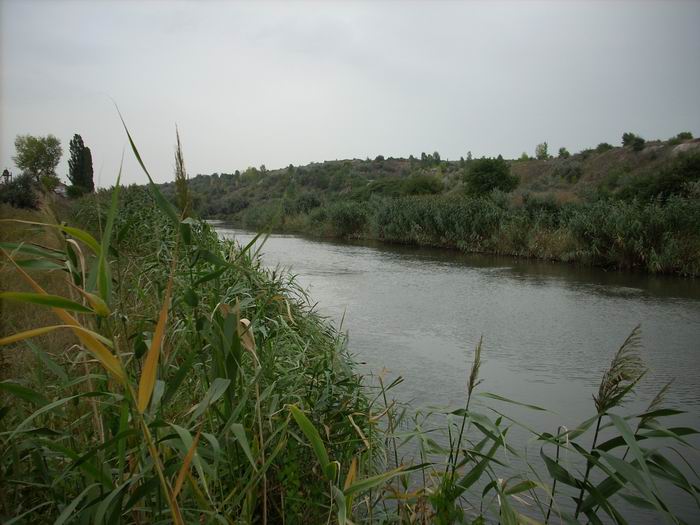 DSCN0114.JPG
