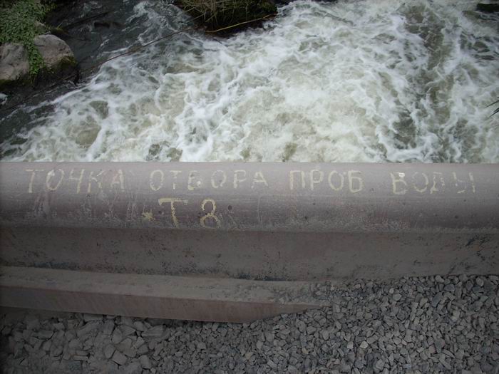 DSCN0119.JPG
