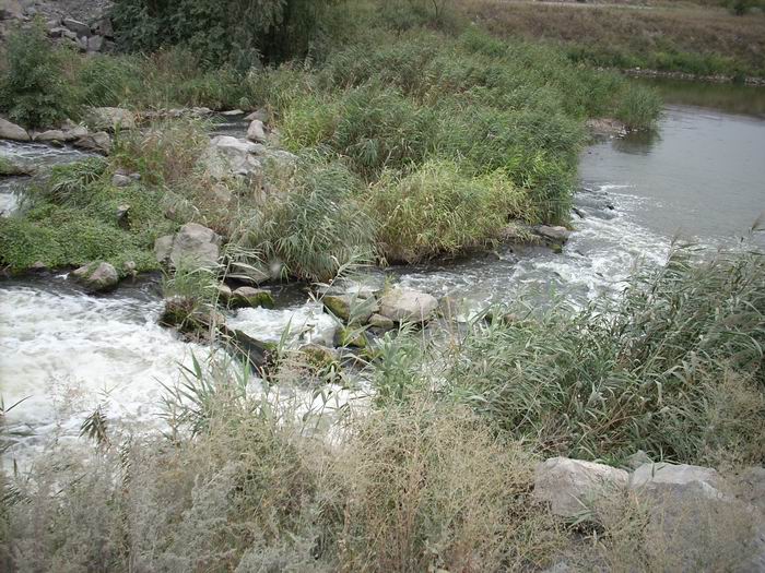DSCN0118.JPG