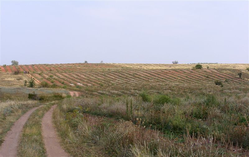 DSCF6118.jpg