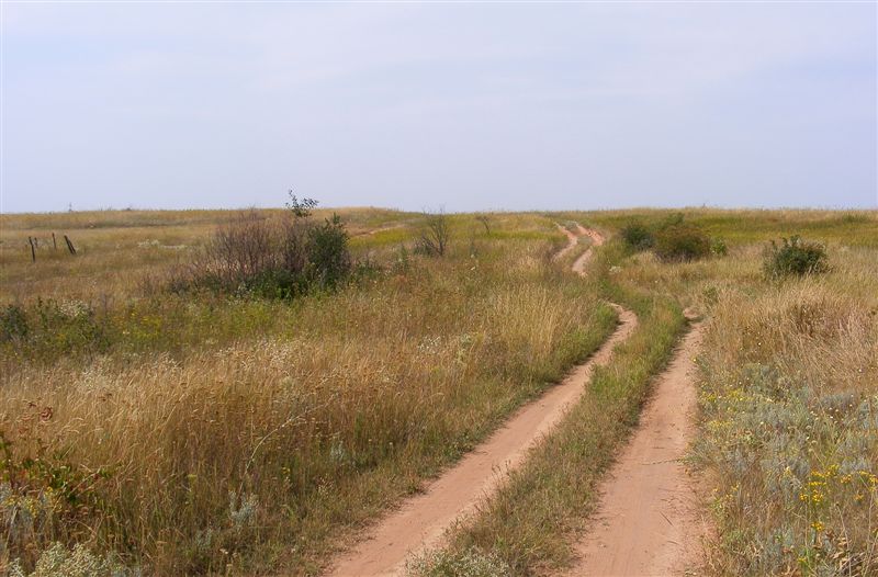 DSCF6115.jpg