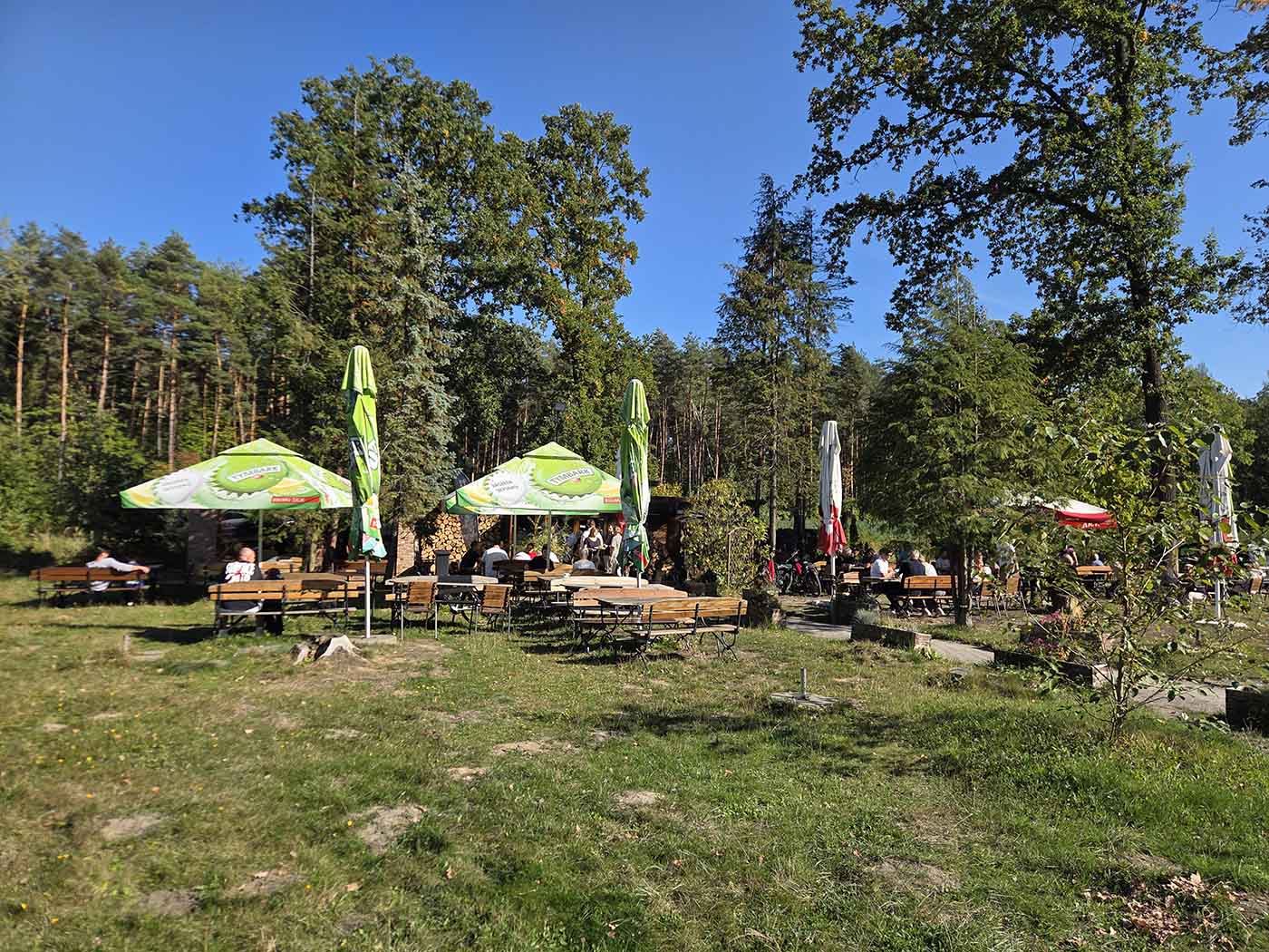 forest-cafe.jpg