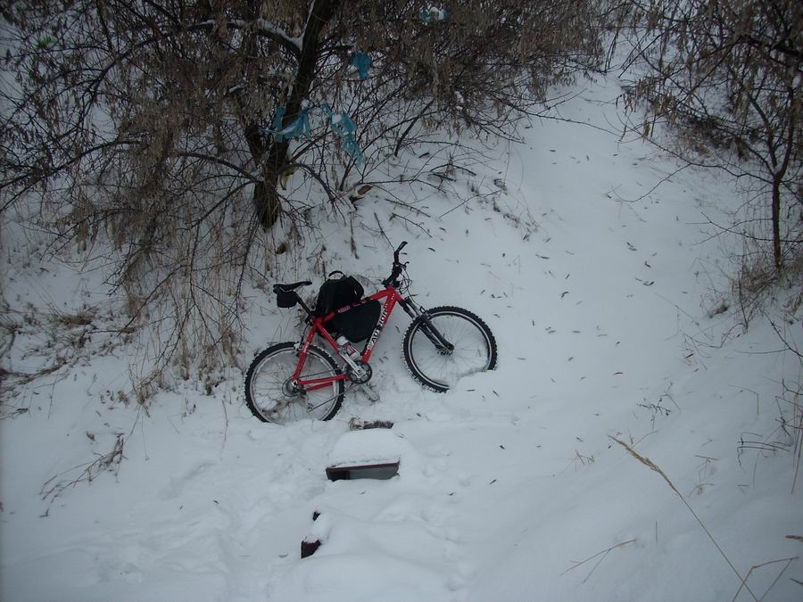 DSCN0674.JPG