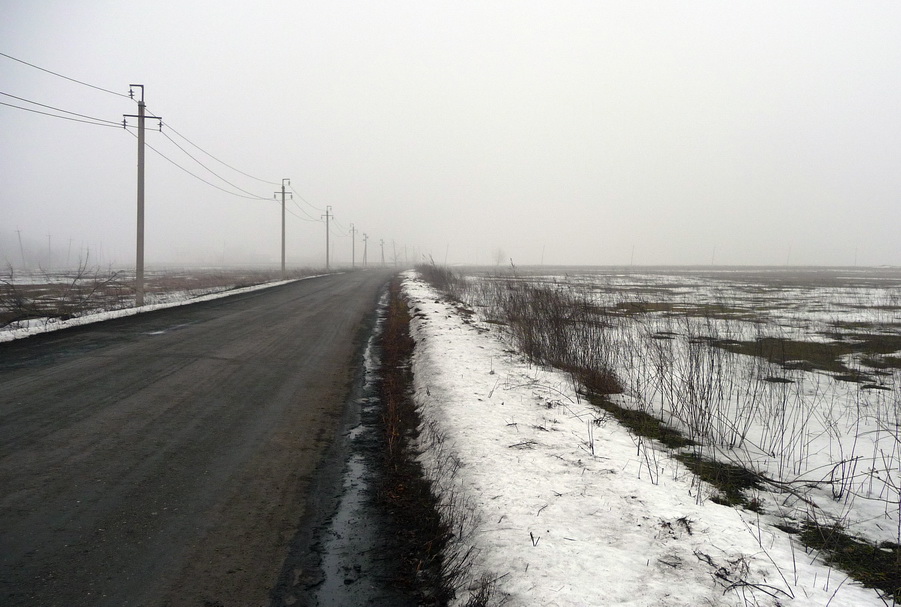 P1010894_r.jpg