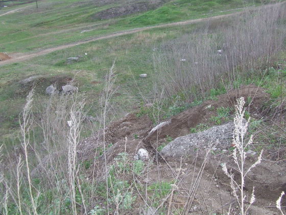 DSCF2465_resize.JPG