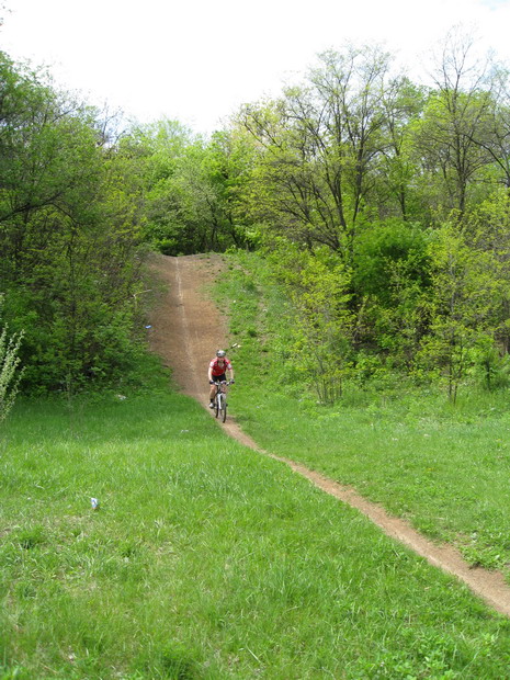 IMG_4856_resize.JPG