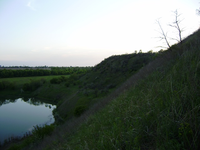 P51901081212.JPG