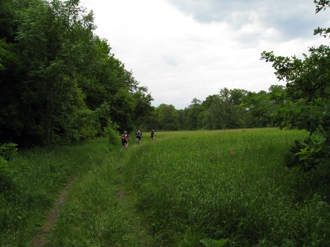 IMG_4996_resize.JPG
