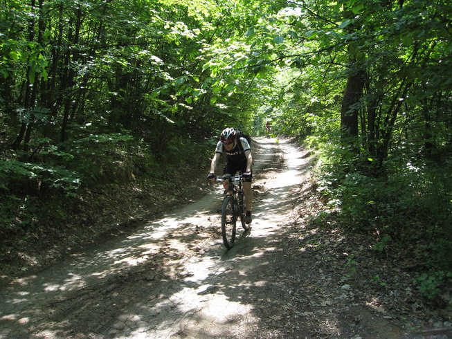 IMG_5058_resize.JPG