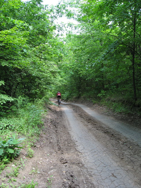 IMG_5060_resize.JPG