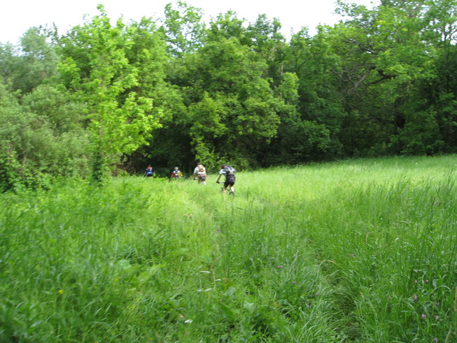 IMG_5085_resize.JPG