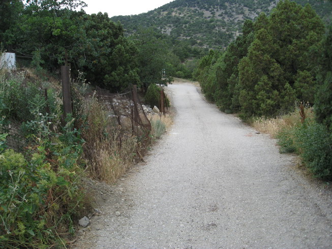 IMG_5166_resize.JPG