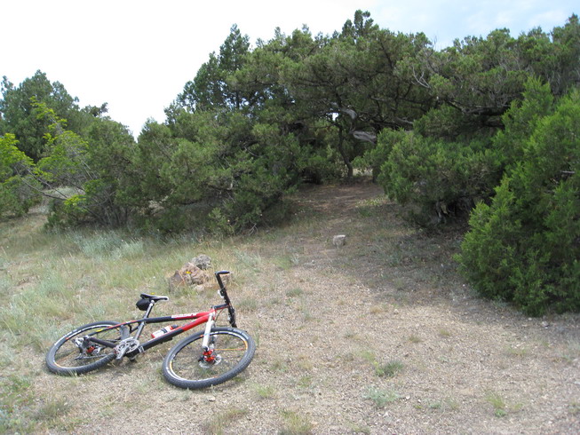 IMG_5185_resize.JPG