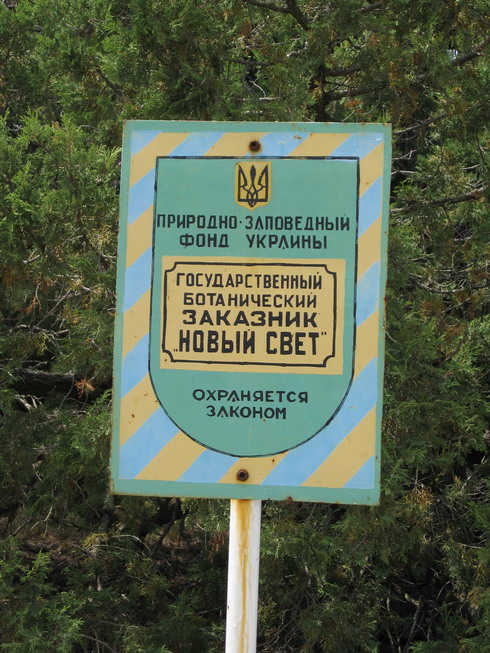 IMG_5170_resize.JPG
