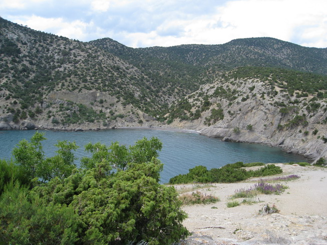 IMG_5180_resize.JPG