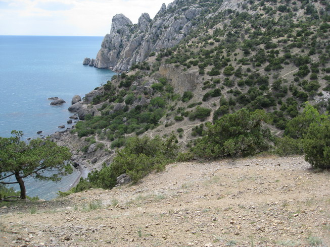 IMG_5183_resize.JPG