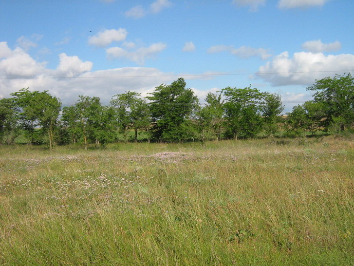 IMG_4625_resize_resize.jpg