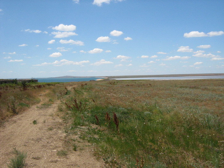 IMG_4723_resize_resize.jpg
