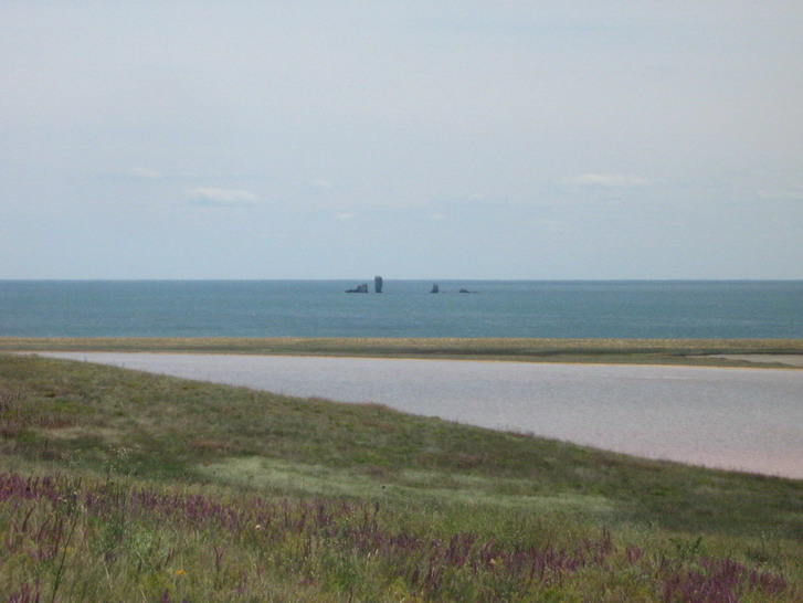 IMG_4717_resize_resize.jpg