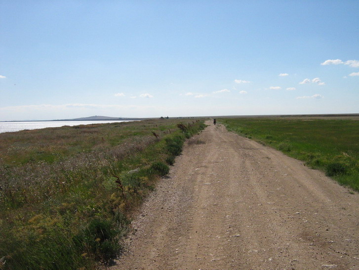 IMG_4784_resize_resize.jpg