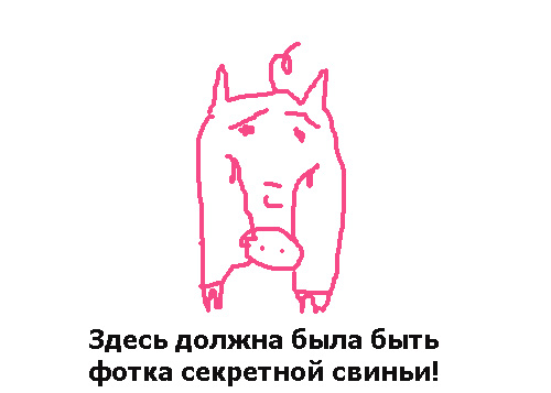 pig copy.jpg