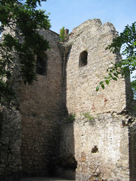 IMG_4848_resize_resize.jpg