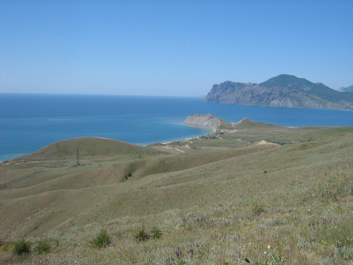 IMG_4932_resize_resize.jpg