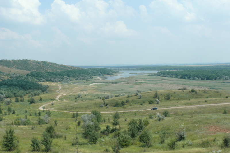 top-view.jpg