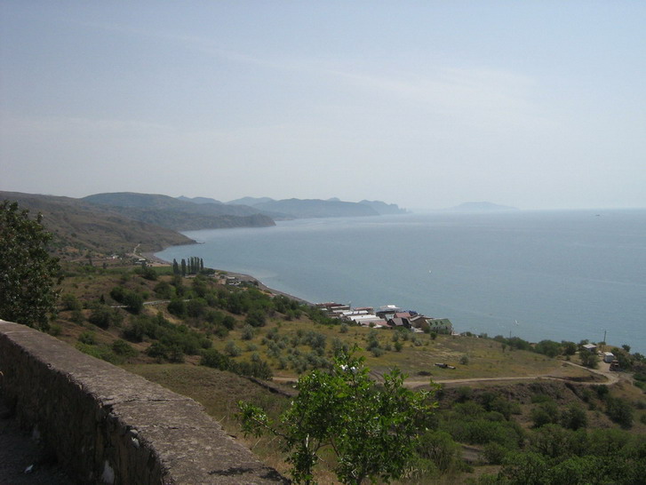 IMG_5206_resize_resize.jpg