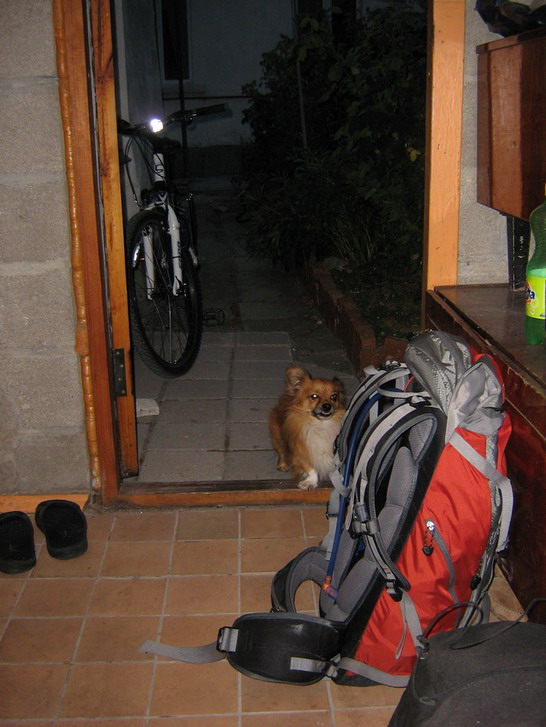 IMG_5420_resize_resize.jpg