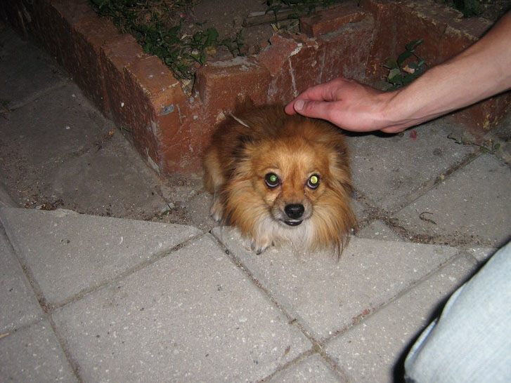 IMG_5417_resize_resize.jpg